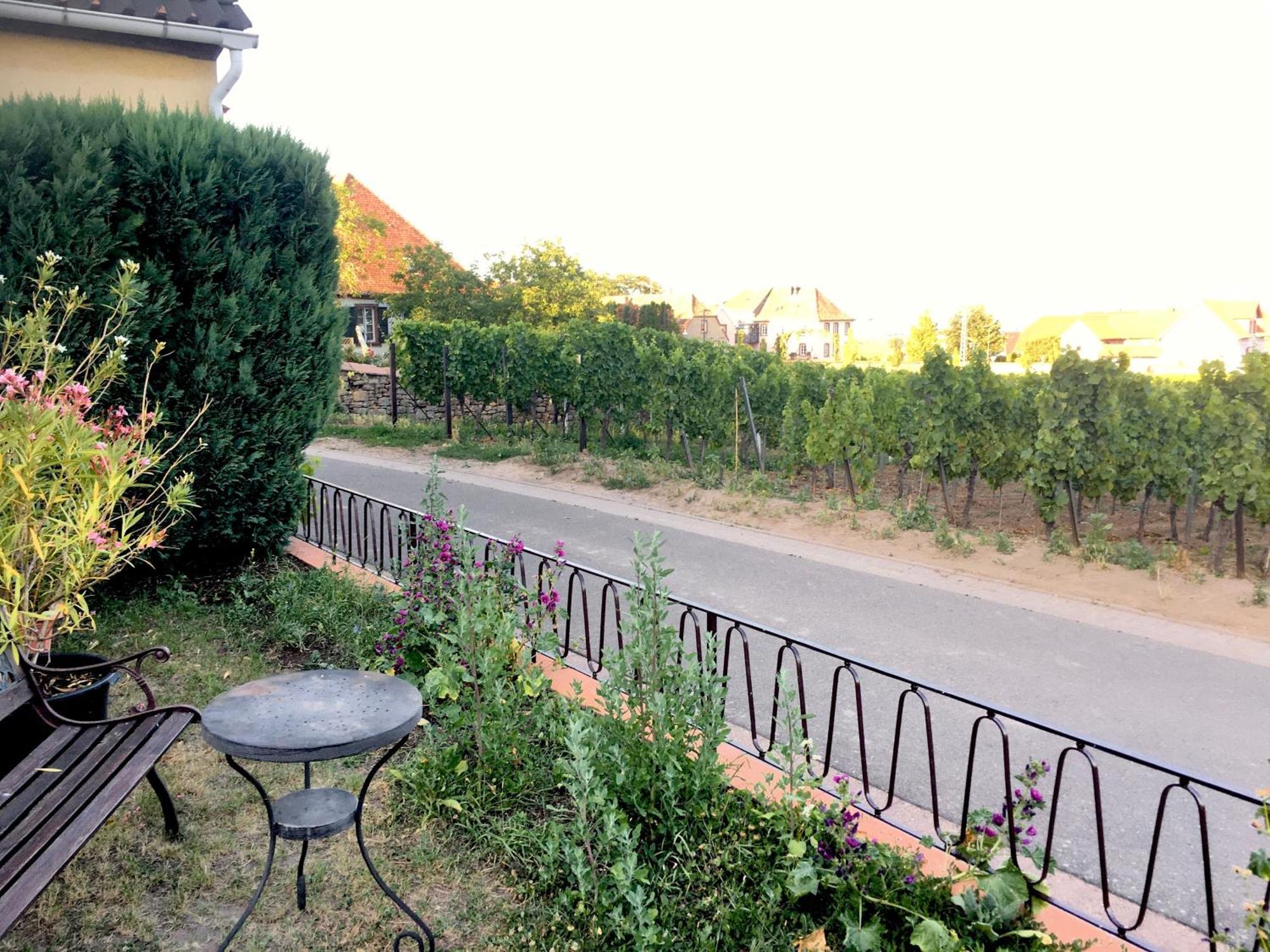 Ferienwohnung Suedpfalzblick ブルルヴァイラー エクステリア 写真