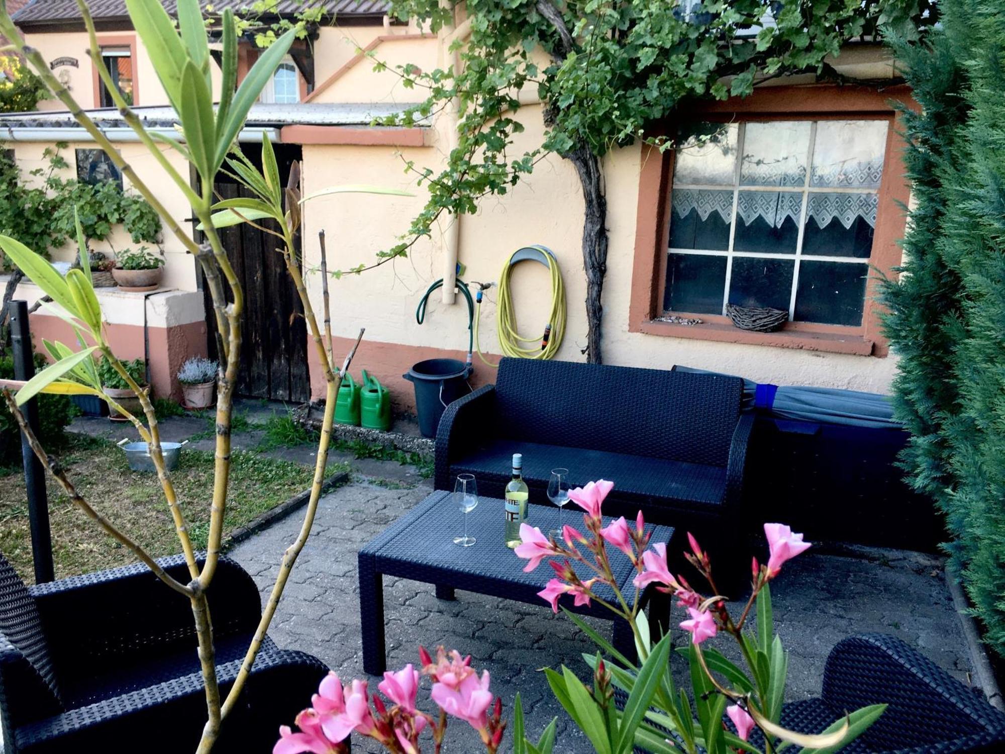 Ferienwohnung Suedpfalzblick ブルルヴァイラー エクステリア 写真